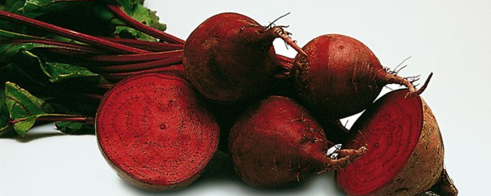 Barbabietola da foraggio