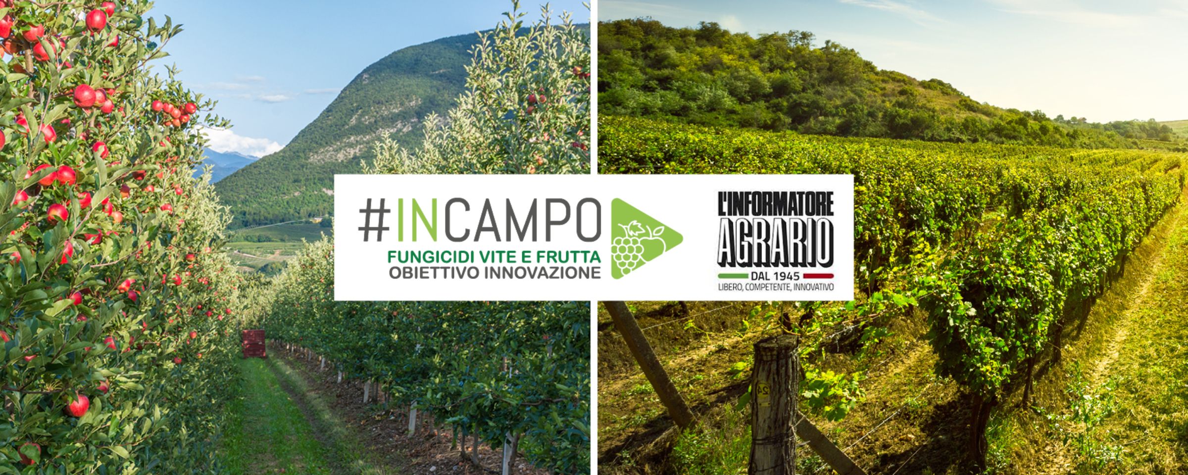 FirstSpirit_1646124937853in-campo-NEW