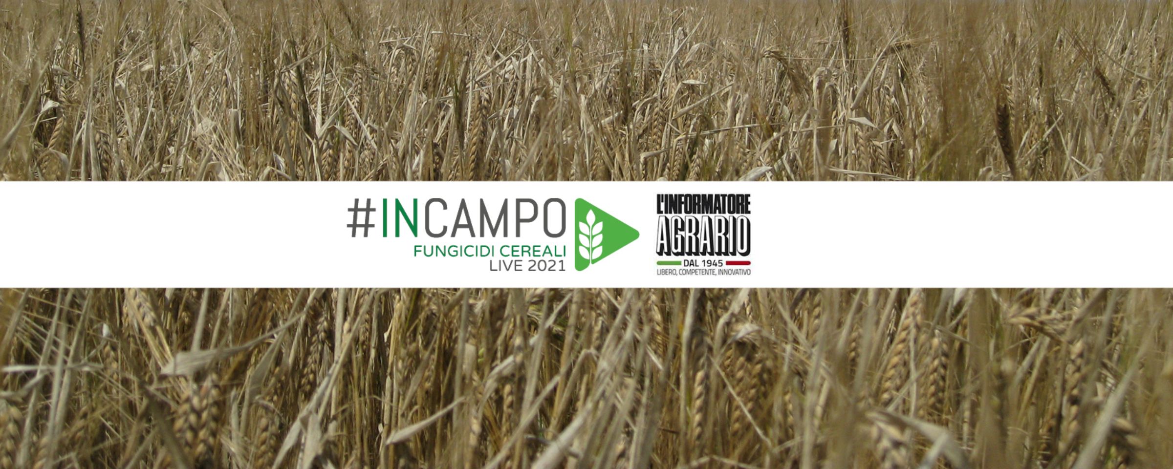 in-campo-2-IT.jpg